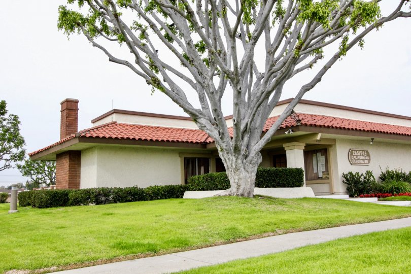 Casitas California Condos, Lofts & Townhomes For Sale Casitas