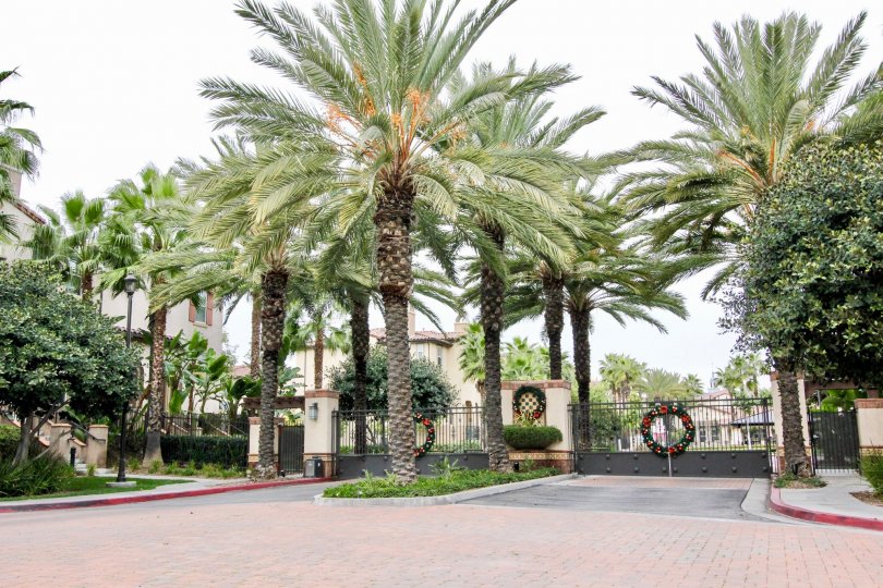 Founders Walk Condos, Lofts & Townhomes For Sale Founders Walk Real