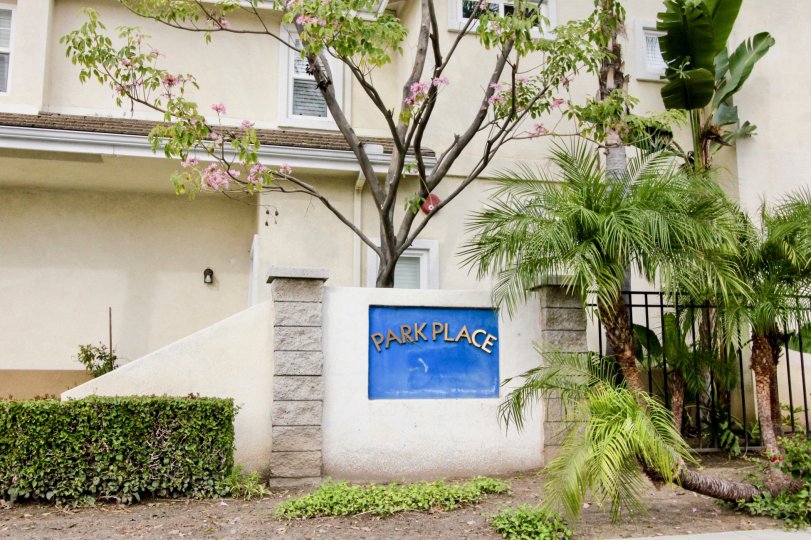 Park Place Condos, Lofts & Townhomes For Sale Park Place Real Estate