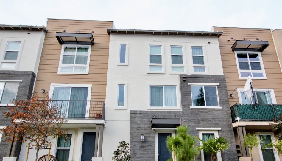 The Parker Collection Condos, Lofts & Townhomes For Sale The Parker Collection Real Estate