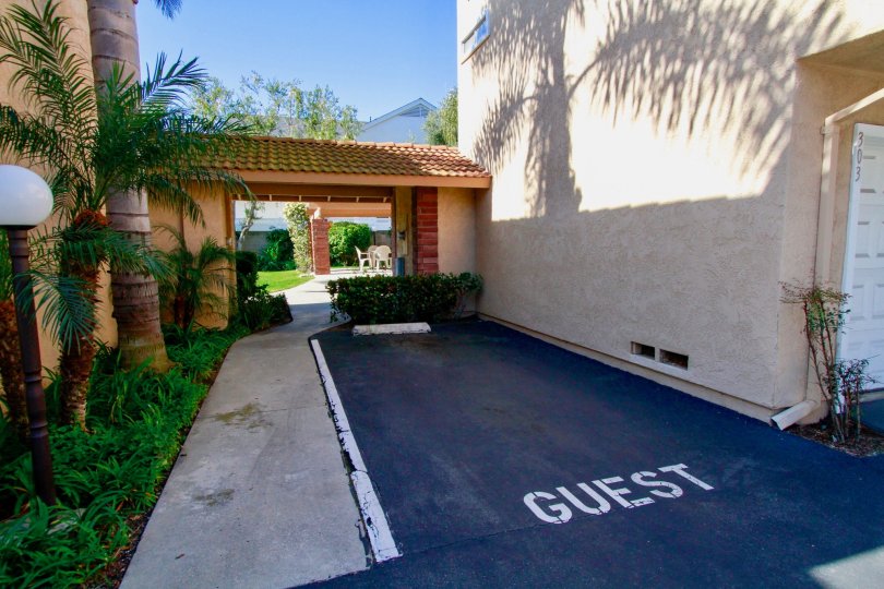 Alta Mesa Condos For Sale