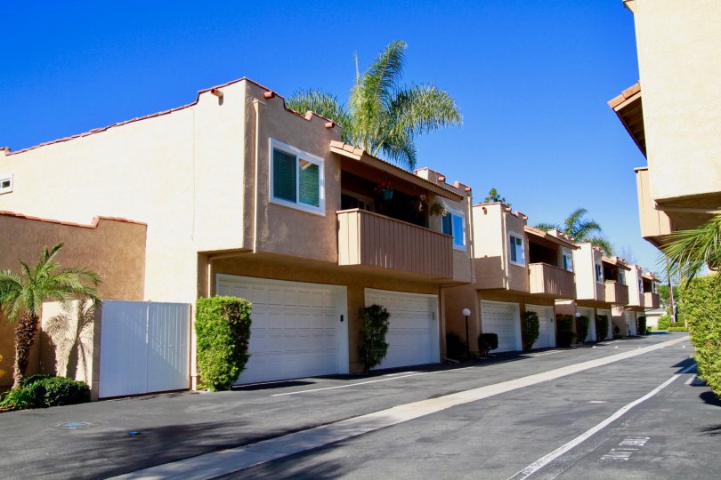 Alta Mesa Condos, Lofts & Townhomes For Sale Alta Mesa Real Estate