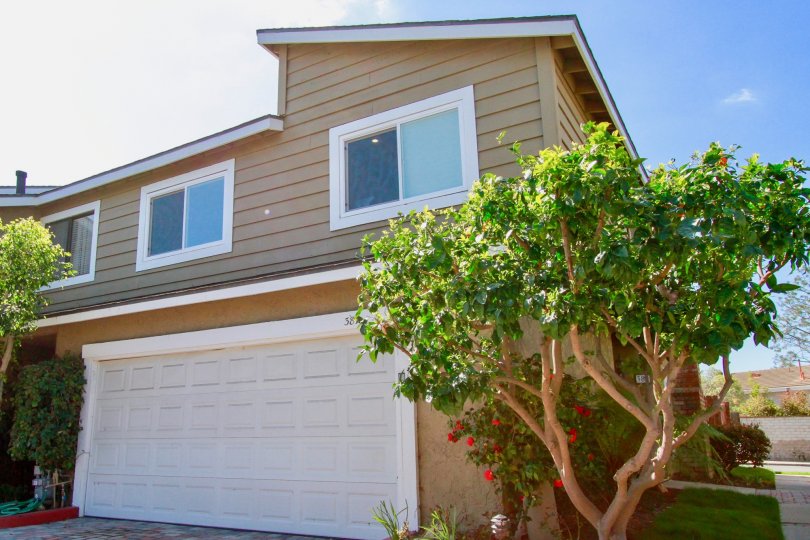 Back Bay Village Sunrise Condos, Lofts & Townhomes For Sale Back Bay Village Sunrise Real