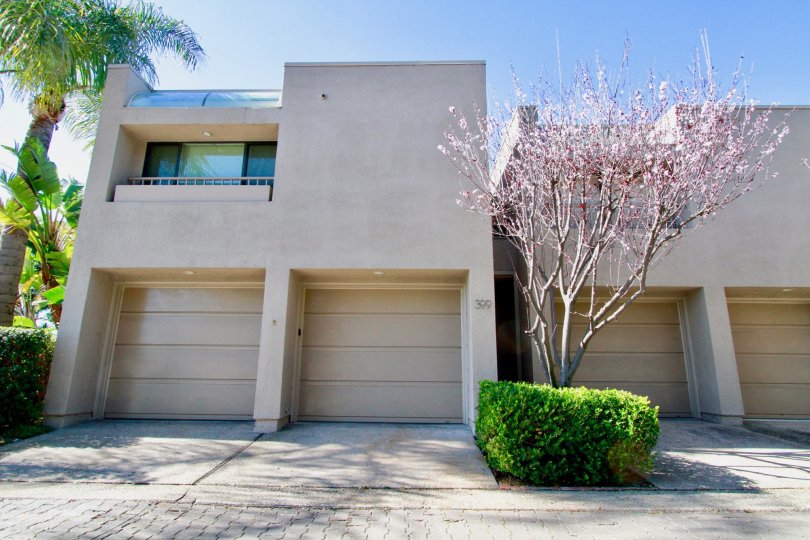 Bay View Terrace Condos, Lofts & Townhomes For Sale Bay View Terrace