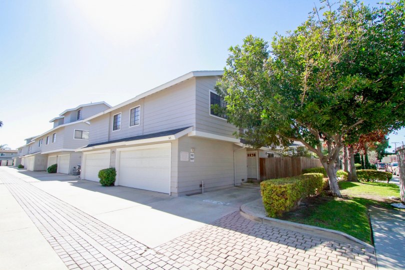 Harbor Pointe South Condos, Lofts & Townhomes For Sale Harbor Pointe