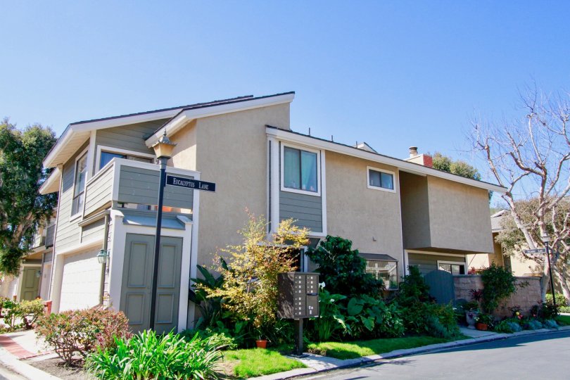 Laurel Point Condos, Lofts & Townhomes For Sale Laurel Point Real