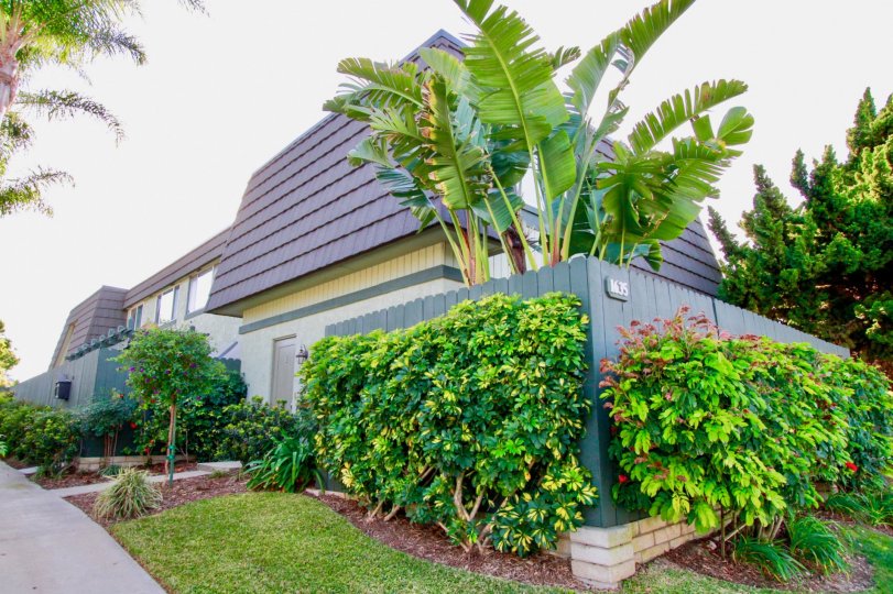 Mesa Verde Villas Condos, Lofts & Townhomes For Sale Mesa Verde