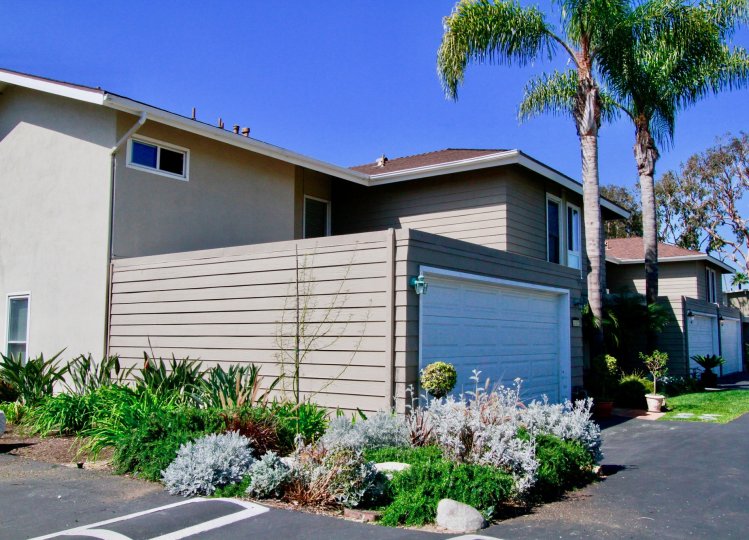 Newport Riviera Condos, Lofts & Townhomes For Sale Newport Riviera