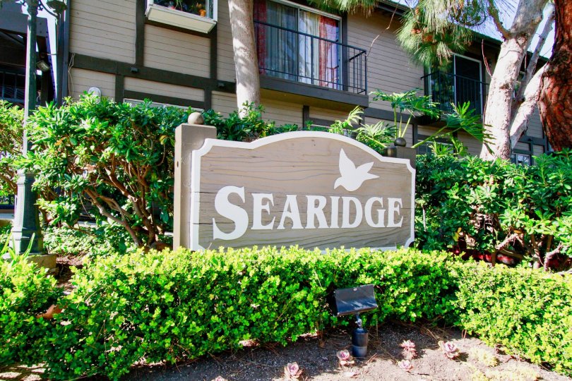 Sea Ridge Condos, Lofts & Townhomes For Sale Sea Ridge Real Estate