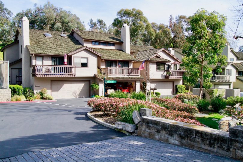 Seabluff Canyon Condos, Lofts & Townhomes For Sale Seabluff Canyon