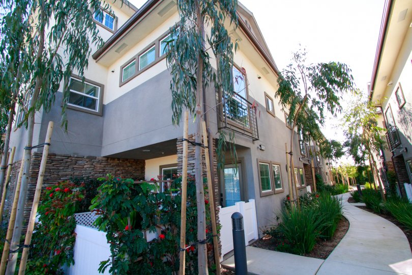 Seabright Condos, Lofts & Townhomes For Sale Seabright Real Estate