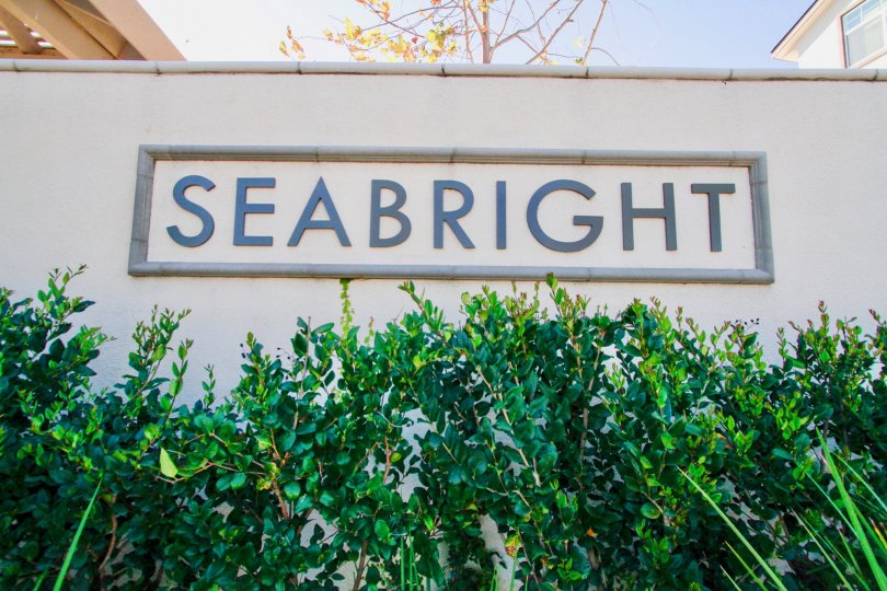 Seabright Condos, Lofts & Townhomes For Sale Seabright Real Estate