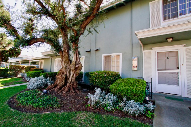 The Vendome Condos, Lofts & Townhomes For Sale The Vendome Real