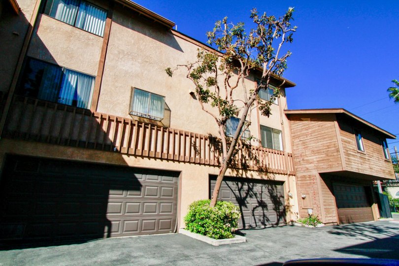 Villa Maple Condos, Lofts & Townhomes For Sale Villa Maple Real