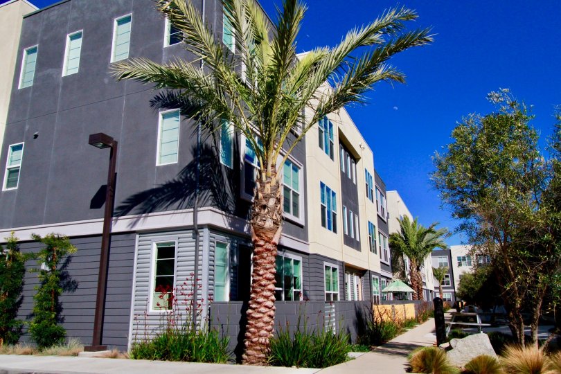 West Place Condos, Lofts & Townhomes For Sale West Place Real Estate