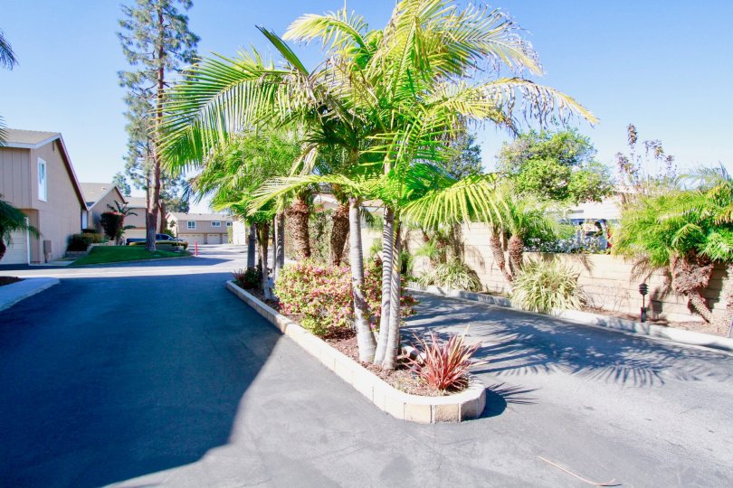 Woodstream Condos Condos, Lofts & Townhomes For Sale Woodstream