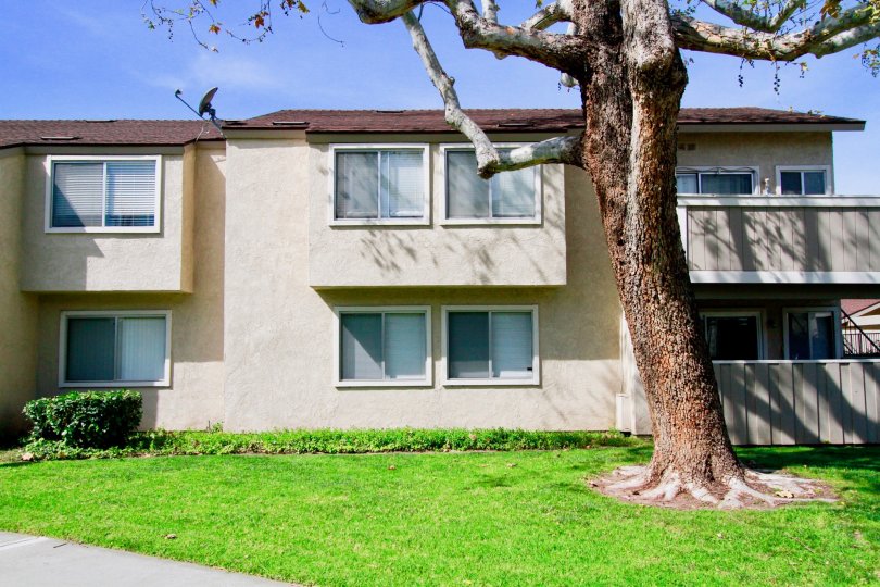 Shady Glen Condos, Lofts & Townhomes For Sale Shady Glen Real Estate Shady Glen, Cypress CA