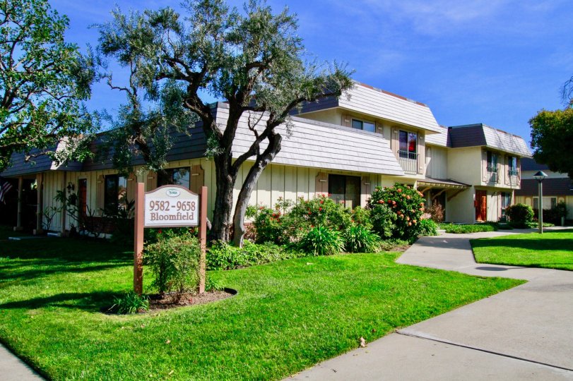 Tanglewood North Condos, Lofts & Townhomes For Sale Tanglewood North