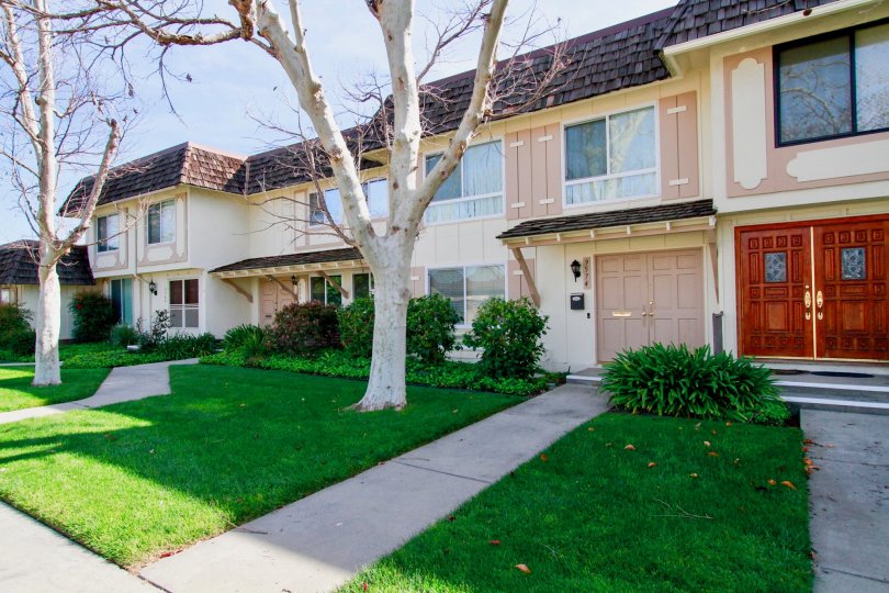 Tanglewood North Condos, Lofts & Townhomes For Sale Tanglewood North