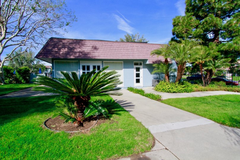 Tanglewood West Condos, Lofts & Townhomes For Sale Tanglewood West