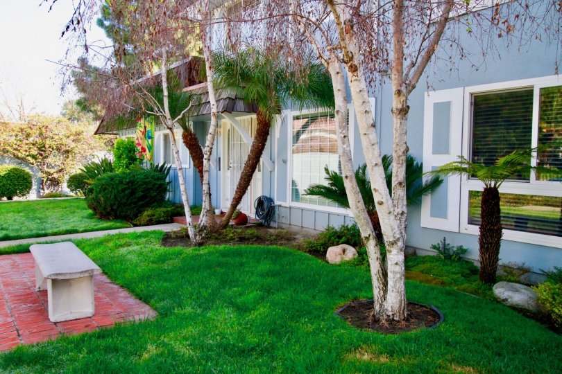 Tanglewood West Condos, Lofts & Townhomes For Sale Tanglewood West