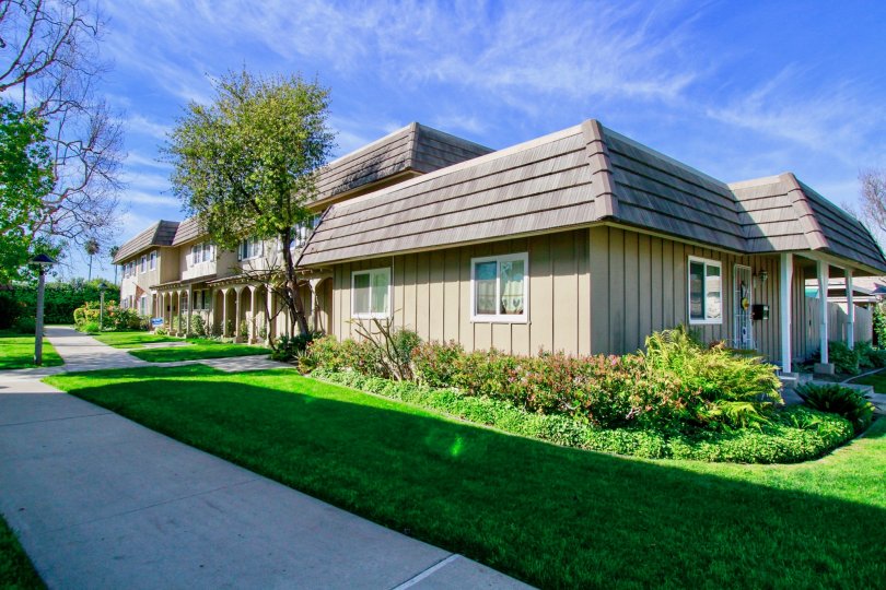 Tanglewood Condos, Lofts & Townhomes For Sale Tanglewood Real Estate