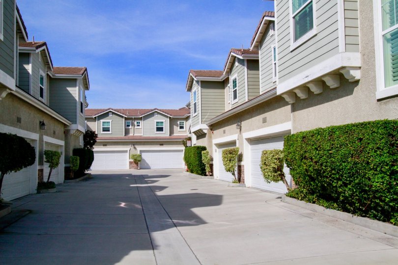 Willow Tree Estates Condos, Lofts & Townhomes For Sale Willow Tree