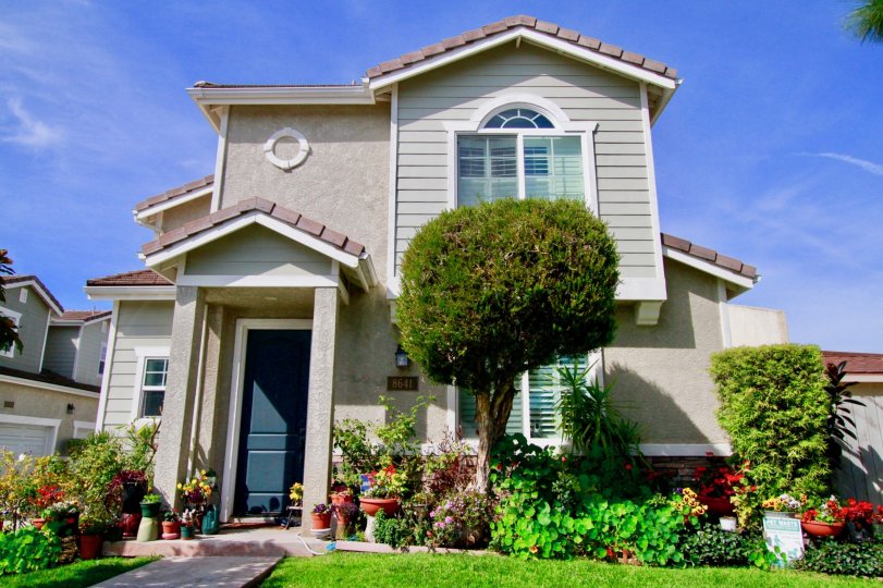 Willow Tree Estates Condos, Lofts & Townhomes For Sale Willow Tree
