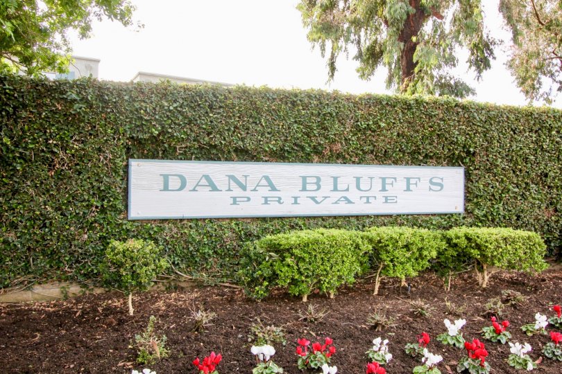 Dana Bluffs Condos, Lofts & Townhomes For Sale Dana Bluffs Real