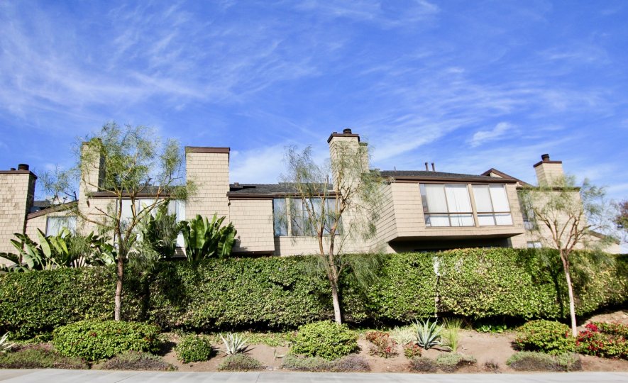 Dana Terrace Condos, Lofts & Townhomes For Sale Dana Terrace Real Estate Dana Terrace, Dana