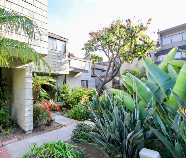 Dana Terrace Condos, Lofts & Townhomes For Sale Dana Terrace Real Estate Dana Terrace, Dana