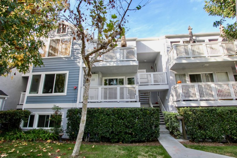 Harbor Walk Condos, Lofts & Townhomes For Sale Harbor Walk Real