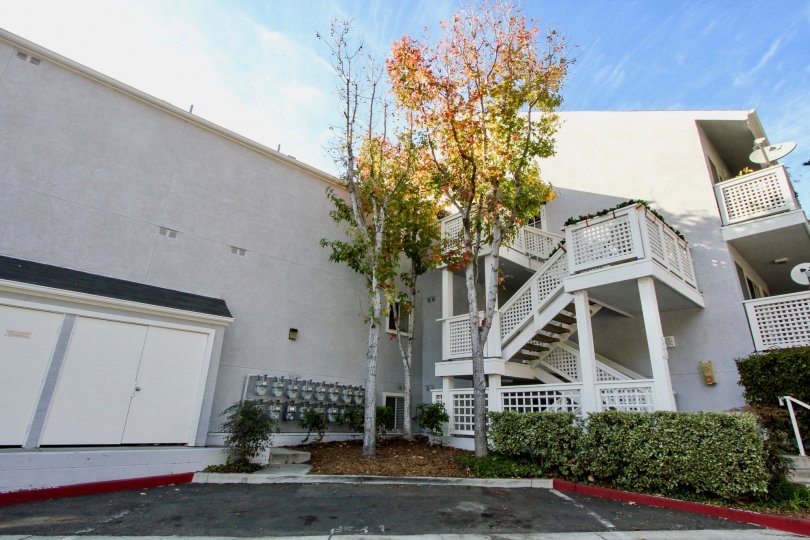 Harbor Walk Condos, Lofts & Townhomes For Sale Harbor Walk Real