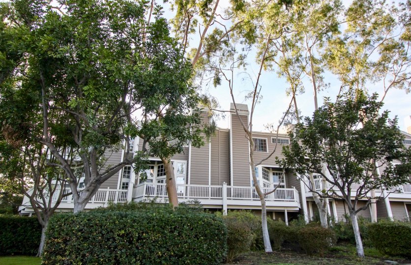 Marinita Townhomes Condos, Lofts & Townhomes For Sale Marinita Townhomes Real Estate