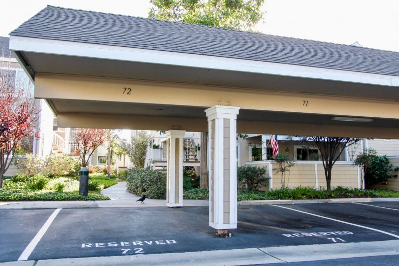 Niguel Beach Terrace Condos, Lofts & Townhomes For Sale Niguel Beach Terrace Real Estate