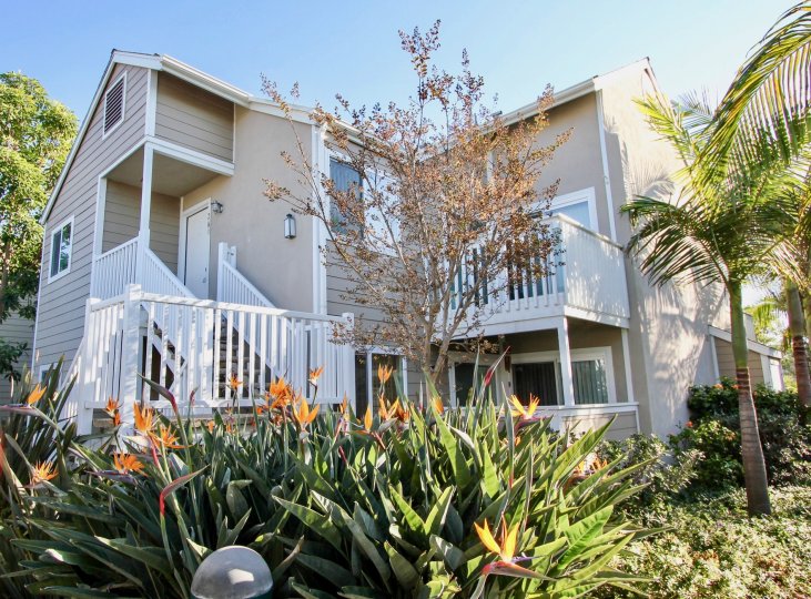 Niguel Beach Terrace Condos, Lofts & Townhomes For Sale Niguel Beach Terrace Real Estate