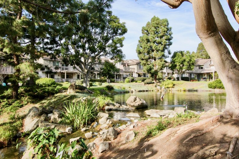 Old Mill Pond Condos, Lofts & Townhomes For Sale Old Mill Pond Real