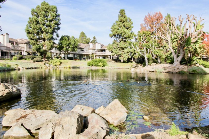 Old Mill Pond Condos, Lofts & Townhomes For Sale Old Mill Pond Real