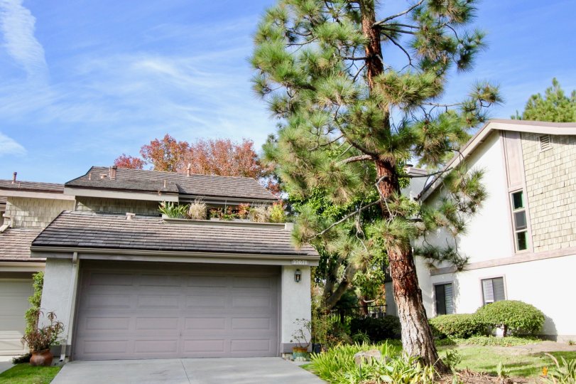 Old Mill Pond Condos, Lofts & Townhomes For Sale Old Mill Pond Real Estate Old Mill Pond