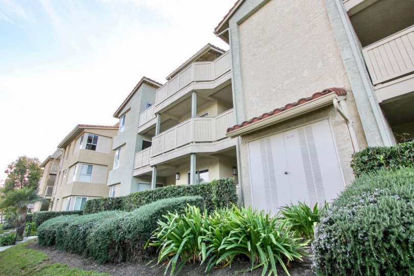 Ritz Pointe Condos, Lofts & Townhomes For Sale Ritz Pointe Real