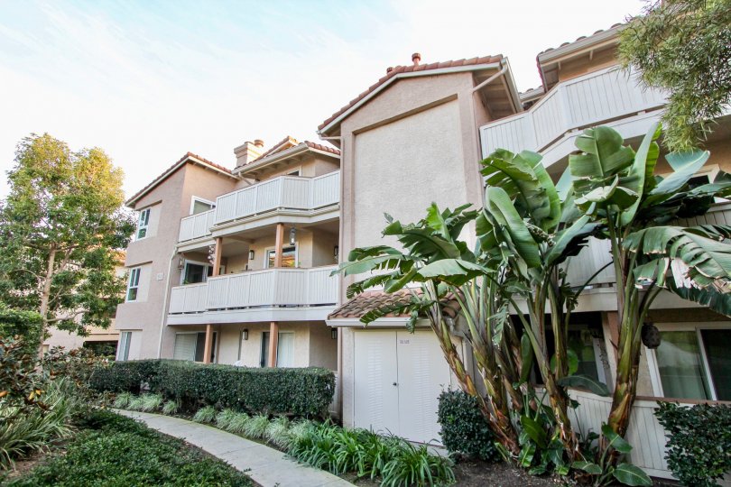 Ritz Pointe Condos, Lofts & Townhomes For Sale Ritz Pointe Real