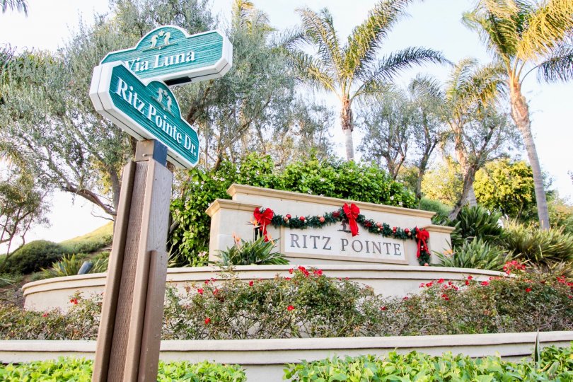 Ritz Pointe Condos, Lofts & Townhomes For Sale Ritz Pointe Real