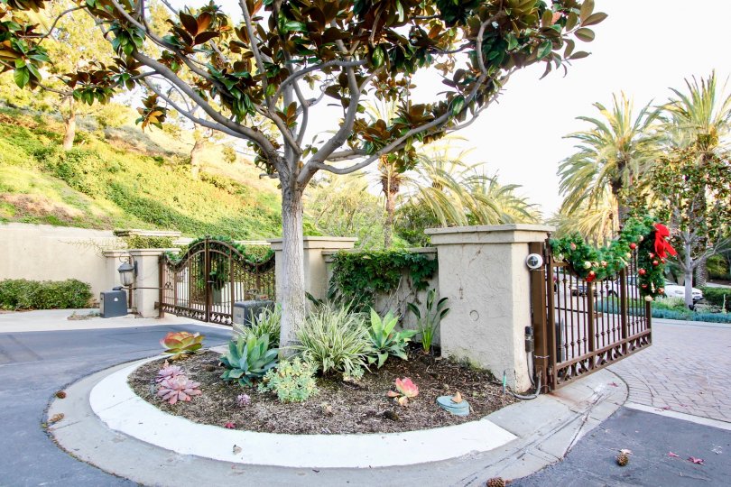 Ritz Pointe Condos, Lofts & Townhomes For Sale Ritz Pointe Real