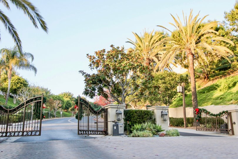 Ritz Pointe Condos, Lofts & Townhomes For Sale Ritz Pointe Real