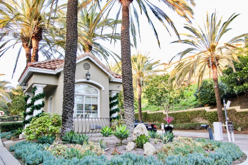 Ritz Pointe Condos, Lofts & Townhomes For Sale Ritz Pointe Real