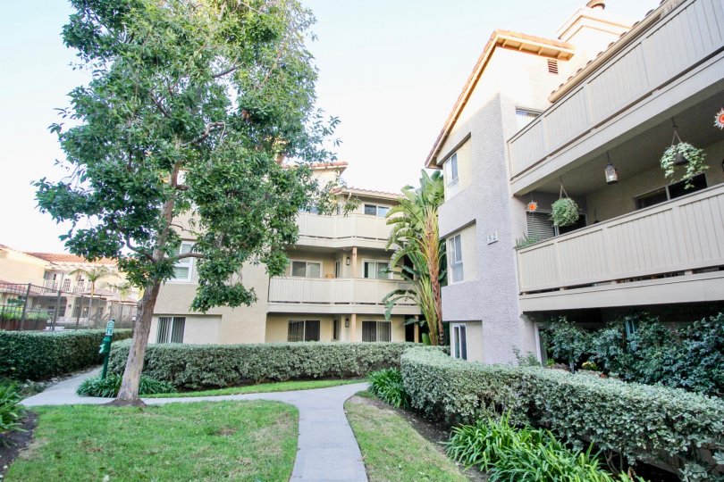 Ritz Pointe Condos, Lofts & Townhomes For Sale Ritz Pointe Real