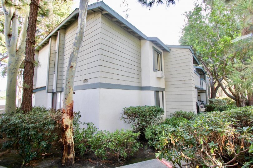 Spinnaker Run Condos, Lofts & Townhomes For Sale Spinnaker Run Real