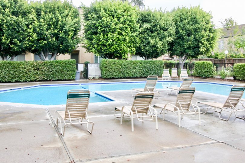 Fountain Park Condos, Lofts & Townhomes For Sale Fountain Park Real