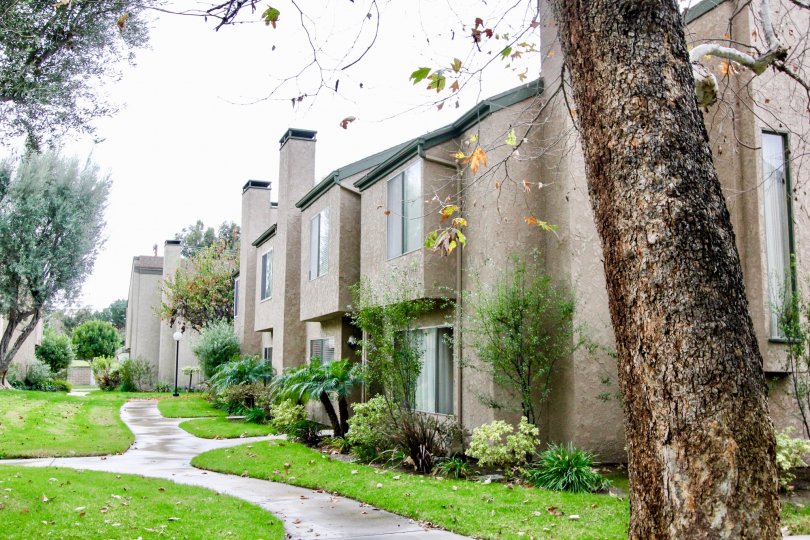 Fountain Park Condos, Lofts & Townhomes For Sale Fountain Park Real