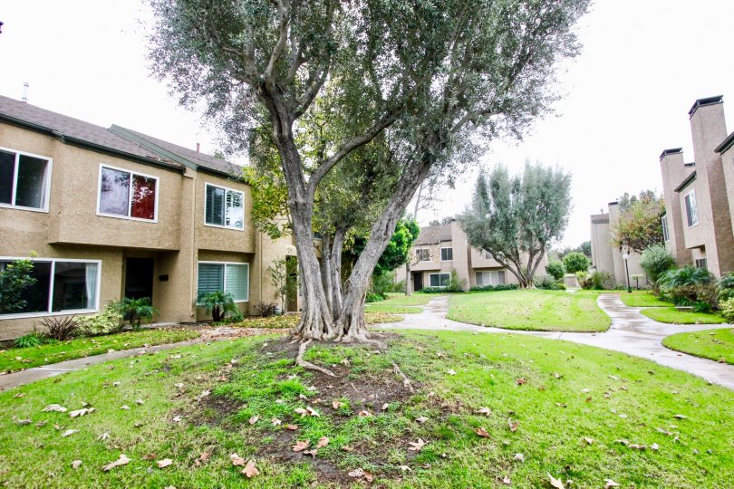 Fountain Park Condos, Lofts & Townhomes For Sale Fountain Park Real